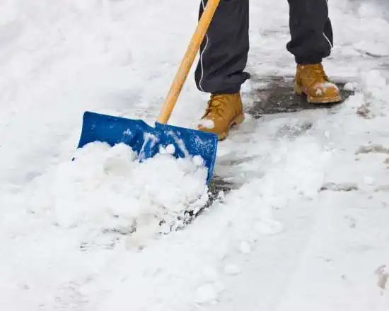 Shoveling Snow off the Driveway